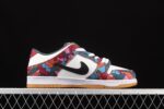 Nike SB Dunk Low Pro Parra Abstract Art 1