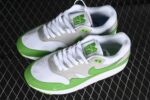 Nike Air Max 1 Patta 20th Anniversary Chlorophyll 5