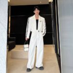 original korean version of the niche pressed strip cropped wide leg pants suits qtmlw.jpg